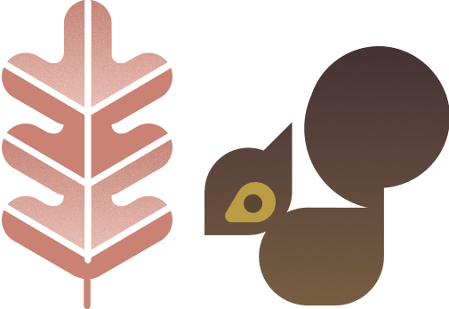 Leaves and squirrel illustration