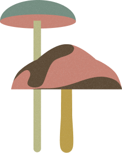 Mushrooms illustration